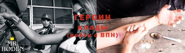 спиды Ельня