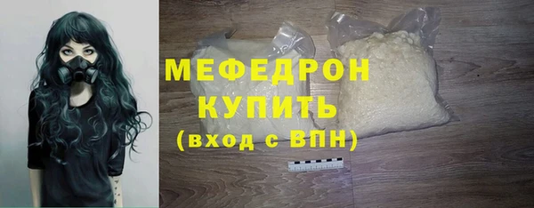 спиды Ельня