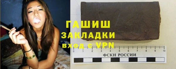 спиды Ельня