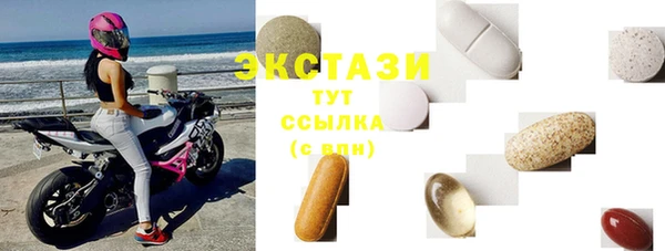 спиды Ельня
