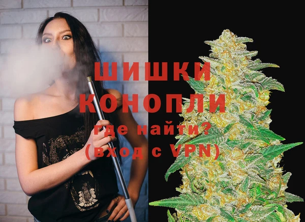 спиды Ельня