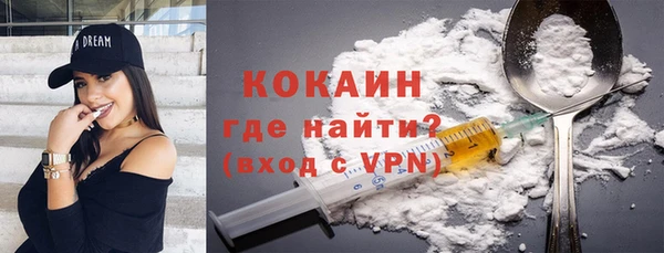 спиды Ельня