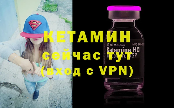 спиды Ельня