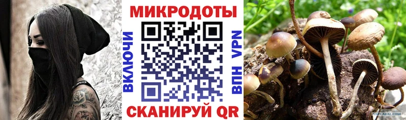 дарк нет официальный сайт  Сасово  Галлюциногенные грибы GOLDEN TEACHER 